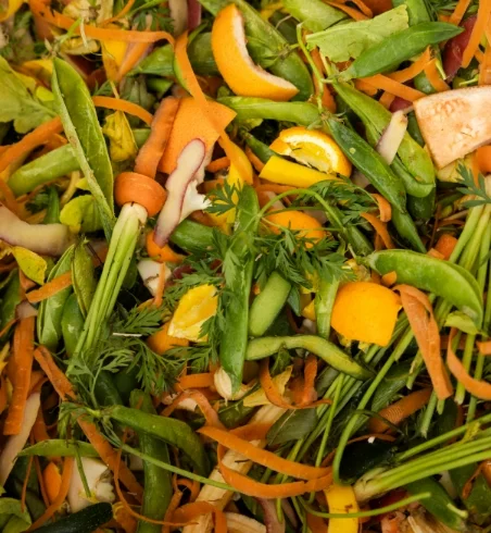 biodechets a composter